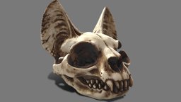 Cats Skull cat, kitty, animals, bone, mammal, statue, skull, animal, halloween, sculpture, horror