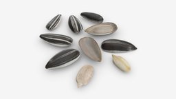 Sunflower seeds 03 food, raw, organic, sunflower, seed, eat, snack, grain, dry, vegetarian, 3d, pbr