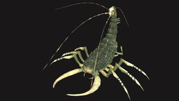 LandBug4 insect, rpg, bug, beetle, action, unreal, carapace, jaws, character, unity, pbr, low, poly, monster, fantasy, rigged