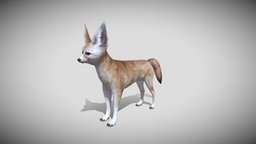 Medhue Fennec Fox dog, fox, fennec, fennec_fox