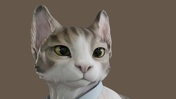 cat sculpt, cat, clay, kitten, sculpture