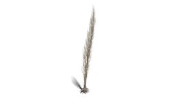Realistic HD Lombardy poplar (45/75) trees, tree, plant, forest, plants, africa, asia, vegetation, outdoor, foliage, nature, europe, middle-east, wetland, vegetations, broadleaf-tree