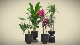 Indoor Plants Pack 40 pot, tropical, palm, indoor, exotic, potted, banana, dracaena, metal, palmtree, cordyline, strelitzia, dark, interior, alocasia, zebrina, fructicosa, marginata