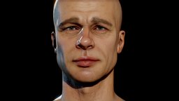 Brad Pitt 3D Model sculpt, base, brad, realistic, actor, pitt, skin, bradpitt