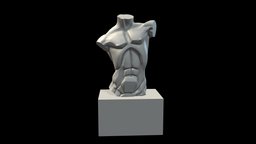 Planes of The Torso body, stl, anatomy, fanart, artwork, figure, drawing, basemesh, tools, 3dprintable, study, sculpting, painting, obj, torso, tutorial, asaro, mannequin, planes, john, statue, tool, mtl, guides, guide, tutorials, manequin, character, 3dprint, lighting, 3d, art, man, plane, structure, sculpture, johnasaro, arttool, planeofthebody, "toolart", "planeofthetorso", "noai"