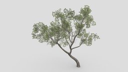 Brazilian Pequi Tree- 02 tree, plant, unreal, brazilian, lowpolytree, unity, pequi, 3dpequi, lowpolypequi, 3d-lowpoly-pequi