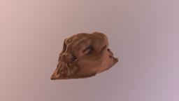 Danaïd by Auguste Rodin mythology, woman, rodin, art, female, sculpture