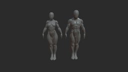 Asa female and male base body, anatomy, printing, basemesh, muscle, sculpting, development, definition, proportions, maya, character, modeling, texturing, blender, female, zbrush, human, male