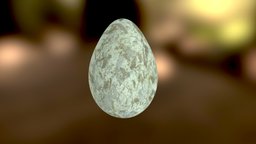  birds-egg, australian-magpie
