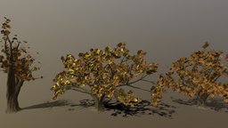 Oak Tree Variants tree, oak, park, bark, environment-assets, oaktree, texture, leaves, quixelmixer, treeit