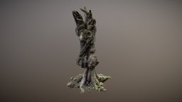 Dead tree trunk tree-stump-tree