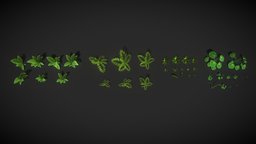 Plants Ready plant, shrub, herb, foliage, bush, free
