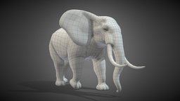 Elephant Base Mesh elephant, beast, topology, rigging, africa, basemesh, rhino, wild, mammal, rhinoceros, rig, zoo, wildlife, base-mesh, base-model, rigged-character, low-poly, blender, lowpoly, blender3d, creature, animal, monster, rigged