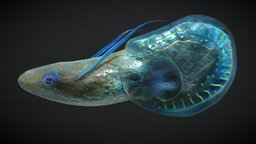 Alien Fantasy Fish shark, fish, underwater, dolphin, coral, ocean, whale, alien, reef, swimming, tadpole, grouper, model, creature, monster, fantasy, sea