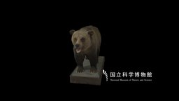 NSMT-M_32026_Grizzly_Bear_(Taxidemy) 