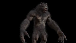 Werebear beast, ancient, rpg, unreal, mystic, mutant, claws, fur, jaw, werebear, character, unity, pbr, lowpoly, monster, rigged, turnskin, likan, bearman, werbear