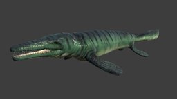 Tylosaurus fish, fishing, underwater, animals, shell, ocean, aquarium, aquatic, beach, nature, sealife, tylosaurus, seaworld, lowpoly, animal, animated, sea, boat