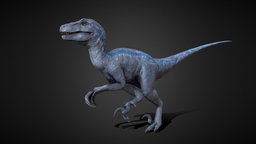 Blue Raptor animals, trex, lizard, predator, velociraptor, fossil, paleontology, reptile, jurassic, extinct, tyrant, creature, animal, monster, blue, prehistoric, dinosaur, dino, tyrannosauru, noai