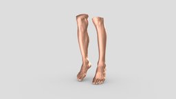 Leg leg, foot, bodyscan, humanbody, thunk3d, thunk3d-fisher