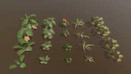 Tropical Plants Pack tropical, palm, fern, needle, anthurium, monstera, alocasia, deliciosa, treeit, macrorrhiza
