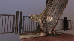 Mighty wounded tree tree, fence, landscape, square, tile, park, nature, civilisation, poplar, photogrammetry, scan, design, natureandcivchallenge