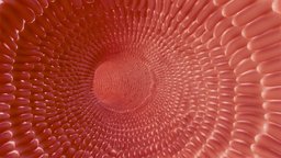 Intestinal villi Animation organ, cross, anatomy, biology, micro, system, surgical, section, lumen, organs, cavity, science, medicine, lamina, digestive, villi, intestinal, epithelium, propria, animation, medical, microvilli, lacteal