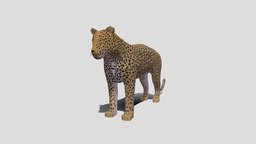 Low Poly Cartoon Leopard topology, safari, leopard, wildlife, low-poly-blender, cartoon, animal, safari-animals, wild-cat