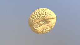 Willow pollen plants, pollen, 3dpollen