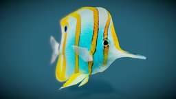 Chelmon fish, tropical, coral, leagueoflegends, reef, coralreef, reefcoral