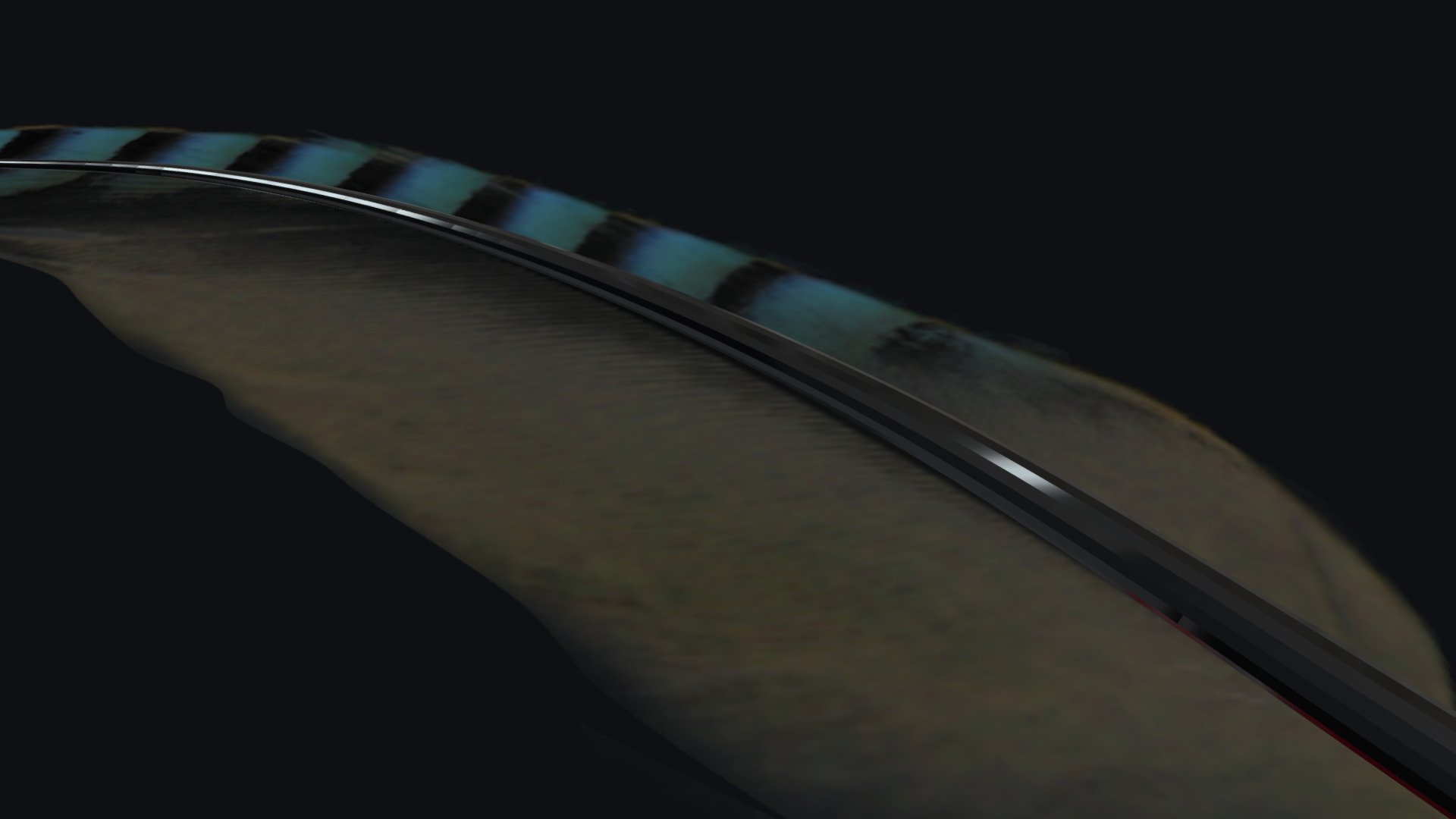Feathers of noble birds

Download png from: https://www.pngarts.com/explore/72871/download/72870 - Bird Feather 3d - pluma pájaro - Download Free 3D model by vmmaniac 3d model