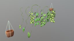 Hanging Pothos plant, organic, low, poly, decoration, modular