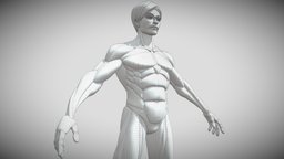 Cartoon Style Male Base Mesh No.1 body, kit, sculpt, base, beast, anatomy, troll, humanoid, mesh, printing, figure, basemesh, arm, torso, print, starter, game-ready, malecharacter, average, meshes, base-mesh, torsomale, maya, character, cartoon, game, female, creature, zbrush, monster, characterdesign, fantasy, human, male, anime, sculpture, rigged, beginner, basemeshes