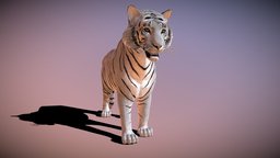 White Tiger (RIGGED ANIMATED) cat, tiger, bigcat, whitetiger, animal, animated, rigged