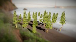 Pine Tree Models Pack 2022 tree, cg, new, realistic, scanned, optimized, unrealengine, ue, gamemodels, dowloadable, 2030, 2024, treemodel, maya, unity, game, 3d, scan, free, download, 2023, 2022, ue5