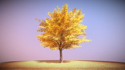 Kastanie 12 Meter tree, grass, baum, game-ready, blender-3d, chestnut, kastanie, herbst, vis-all-3d, sommer, 12-meter, baum-module-4, leaf-tree, 3dhaupt, low-poly, lowpoly, blender3d, noai, rosskastanie, european-horse-chestnut