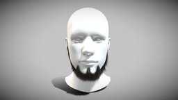 Metalhead Beard face, hair, style, prop, unreal, barber, rocker, survivor, head, facial, bearded, unrealengine, hairy, homeless, heavy-metal, haircut, metalhead, hairstyle, bigbeard, barba, unity, unity3d, asset, man, gameasset, male, longbeard, barbado, face-beard, facial-hair