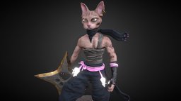 Ninja cat blood, cat, japan, ninja, edu, suarez, shuriken, dystopic, paws, substancepainter, substance, painter, weapon, 3d, pbr, lowpoly, zbrush, animal, dafewf