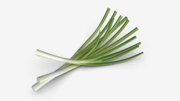 Spring onions 01 green, plant, food, organic, spring, leaf, fresh, herb, nature, cooking, onion, vegetable, bunch, vegetarian, salad, gourmet, nutrition, 3d, pbr