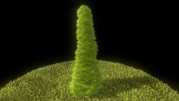 Cypress tree, flora, garden, hill, evergreen, nature, bush, needle, game-ready, leyland, cypress, conifers, vis-all-3d, zypresse, 3dhaupt, software-service-john-gmbh, hecke, bastardzypresse, cupressocyparis-leylandii, thuya, cypress-version, low-poly
