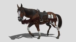Horse saddle, horses, reign, reigns, horse