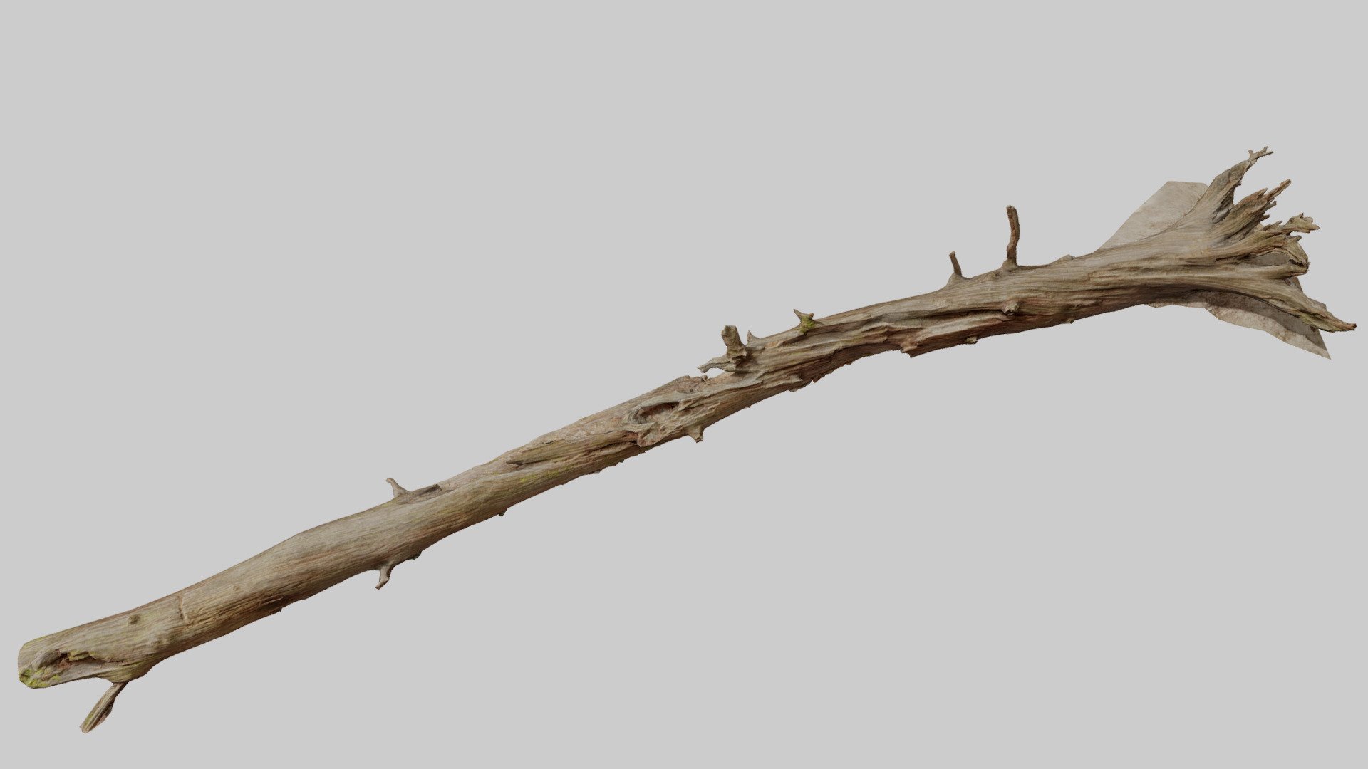 Fully processed 3D scans: no light information, color-matched, etc.

Ready to use for all kind of CGI

Source Contains:
- .obj
- .fbx
- .blend

4K Textures:
- normal map
- albedo
- roughness

Please let me know if something isn't working as it should.

PBR Realistic Big Fallen Dead Oak Tree Big Scan 8m - Big Fallen Dead Oak Tree Big Scan - Buy Royalty Free 3D model by Per's Scan Collection (@perz_scans) 3d model