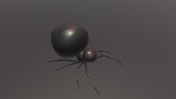 Low poly stylized spider insect, b3d, spider, widow, arachnid, arachne, blackwidow, fear, latrodectus, arachnophobia, arachnoid, sketchfabweeklychallenge, character, blender, blender3d, creature, animal, stylized, black