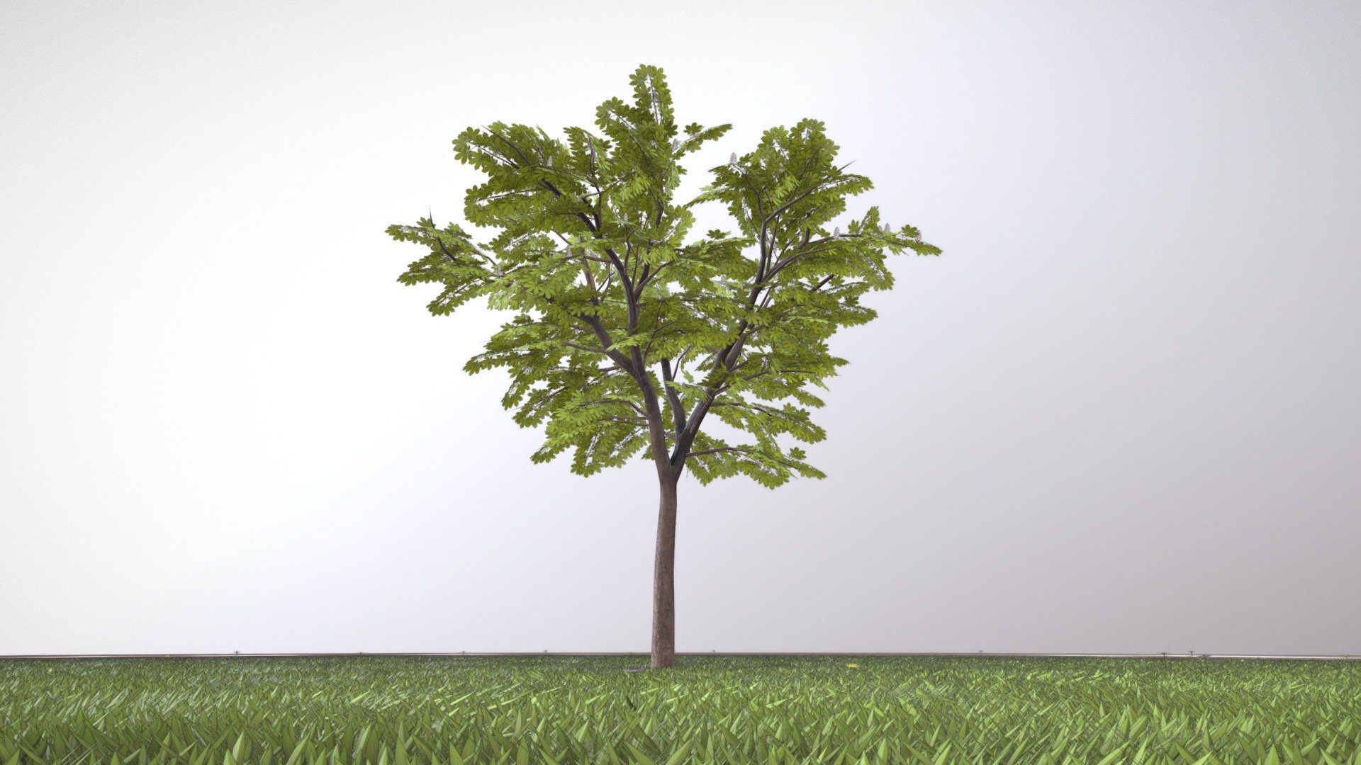 Kastanie 8 Meter im Frühling.



Ein 3d-Objekt aus dem VIS-All Baum Module 4 

Modelliert und texturiert von 3DHaupt mit Blender-3D - Kastanie 8 Meter - Frühling - Buy Royalty Free 3D model by VIS-All-3D (@VIS-All) 3d model