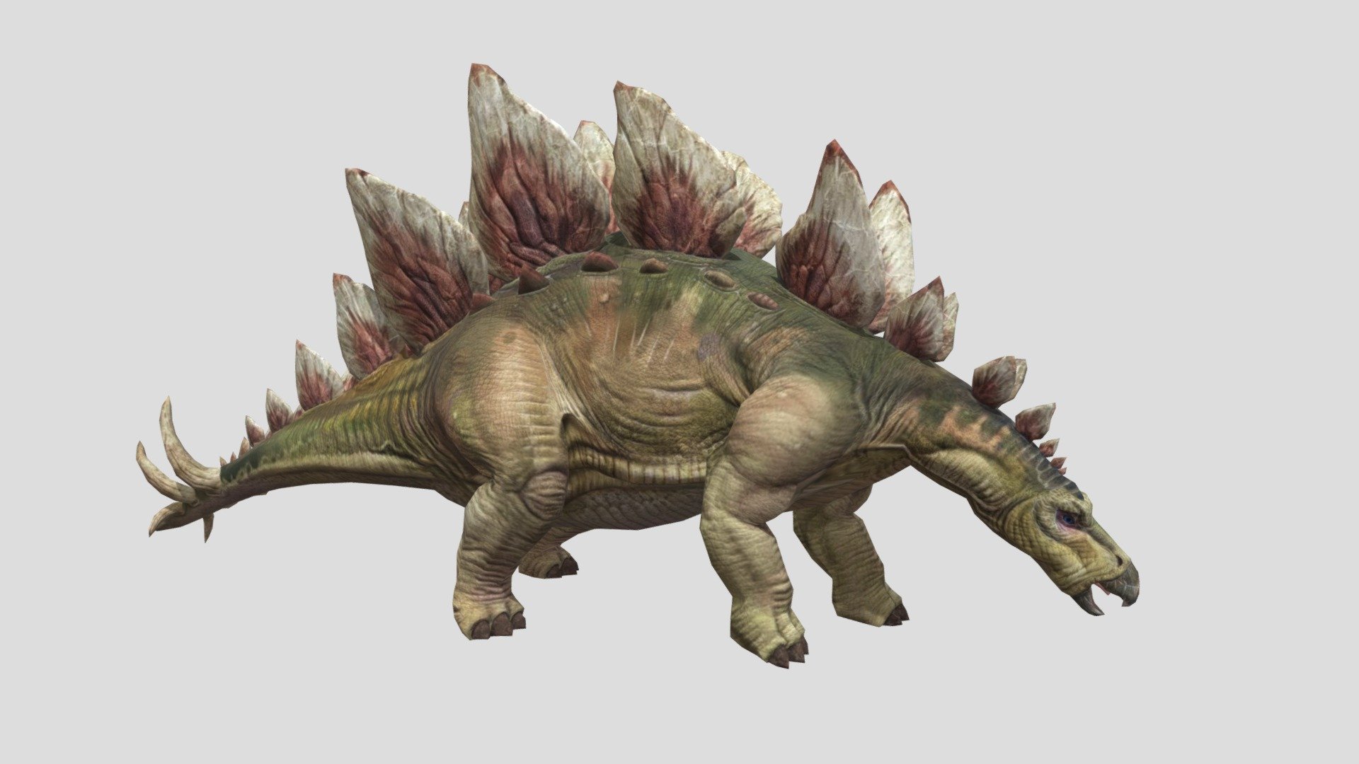 i really don't want a TPOSE on this dinosaur - STEGO - Download Free 3D model by seth the yutyrannus (@slang107123456789) 3d model