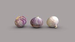Solo garlics food, garlic, garlics, 3dscan, garlic-clove, solo-garlic, single-clove-garlic