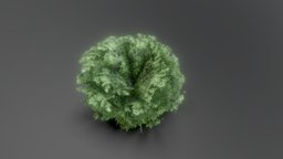 Bush green, grass, plants, flat, masks, mask, nature, bloom, bush, masked, texture