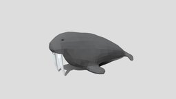 Low Poly Cartoon Walrus topology, walrus, ocean, seal, realistic, game-ready, poles, low-poly, cartoon, lowpoly, sea