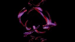 Dragon Koi fish, koi, trippy, motion-graphics, blender
