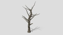 Trunk By Branches tree, plants, new, trunk, nature, jungle, branche, game, free, freetree, newtree, gametree, gamepalnt