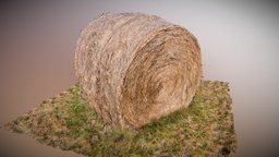 Bale of Hay cow, grass, animals, hay, tractor, farm, farming, feed, haybale, livestock, metashape, agisoft, home, animal